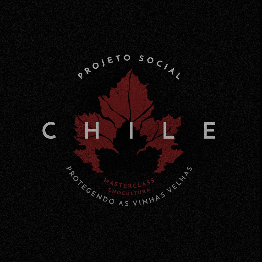 Thumbnail do artigo Projeto Social Chile: Protegendo as Vinhas Velhas