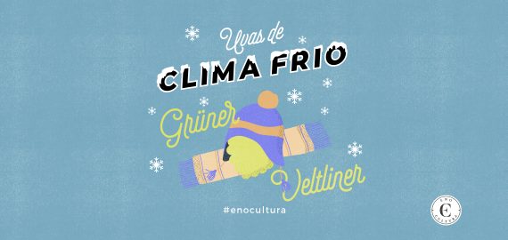 Capinha blog Uva clima frio Gruner Veltliner 570x270 - Uvas de Clima Frio: Grüner Veltliner