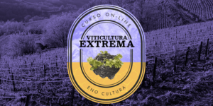 Arte loja Thinkific 300x150 - Curso On-line Viticultura Extrema (Certificado Eno)