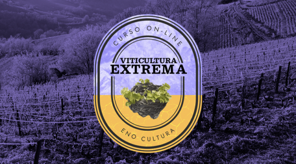 Arte loja Thinkific 600x332 - Curso On-line Viticultura Extrema (Certificado Eno)