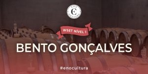 WSET Nível 1-Presencial-Bento Gonçalves-28-Jun-2025