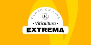 Curso On-line Viticultura Extrema (Certificado Eno)