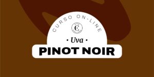 Curso On-line Pinot Noir (Certificado Eno)