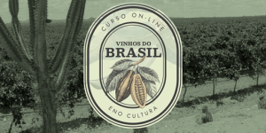 Arte Loja Eno 0013 Arte loja Thinkific 1 300x150 - Curso Online: Vinhos do Brasil (Certificado Eno)