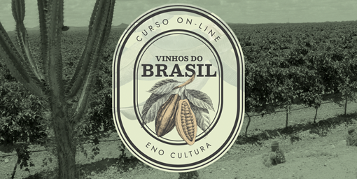 Arte Loja Eno 0013 Arte loja Thinkific 1 - Curso Online: Vinhos do Brasil (Certificado Eno)
