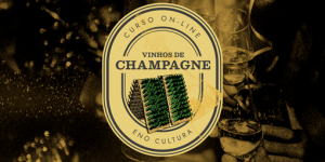 Arte Loja Eno 0011 Arte loja Thinkific 300x150 - Curso Online: Champagne (Certificado Eno)