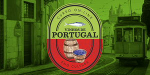Arte loja Thinkific 16 300x150 - Curso On-line Vinhos de Portugal (Certificado Eno)