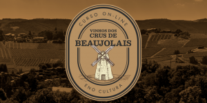 Arte loja Thinkific 5 300x150 - Curso Online: Crus de Beaujolais (Certificado Eno)