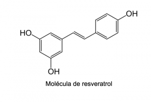 Captura de Tela 2021 03 03 as 17.13.33 300x204 - Série Fenóis: Resveratrol