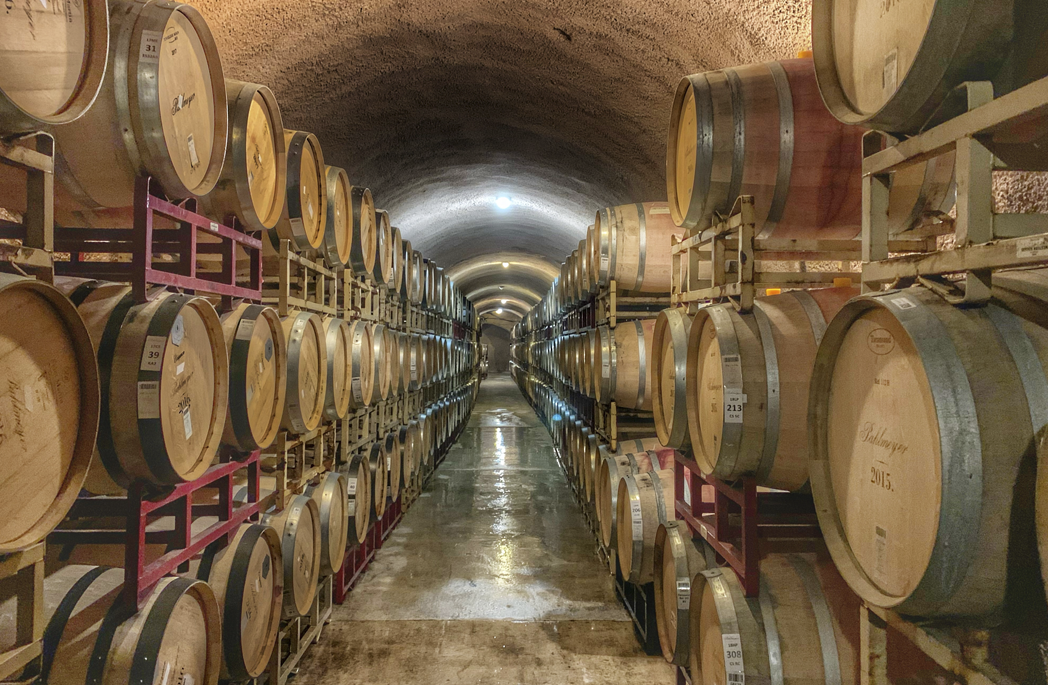 Thumbnail do artigo Fenóis: O envelhecimento do vinho