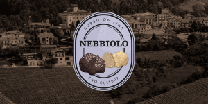 Arte loja siteEno 300x150 - Curso On-line Nebbiolo (Certificado Eno)