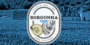 Arte Loja Eno site 2022 300x150 - Curso On-line Vinhos da Borgonha-Parte 1 (Certificado Eno)
