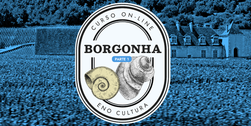 Arte Loja Eno site 2022 - Curso online Borgonha- Parte 1 (Certificado Eno)