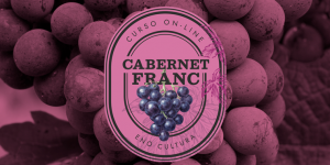 Arte loja Thinkific 300x150 - Curso On-line Cabernet Franc (Certificado Eno)