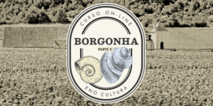 Arte Loja Eno site 2022 300x150 - Curso On-line Vinhos da Borgonha-Parte 2  (Certificado Eno)