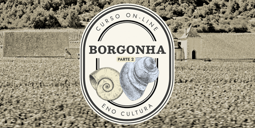 Arte Loja Eno site 2022 - Borgonha parte 2 - Curso Online  (Certificado Eno)