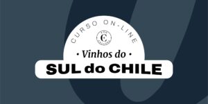 Curso Online Vinhos do Sul do Chile - (Certificado Eno)