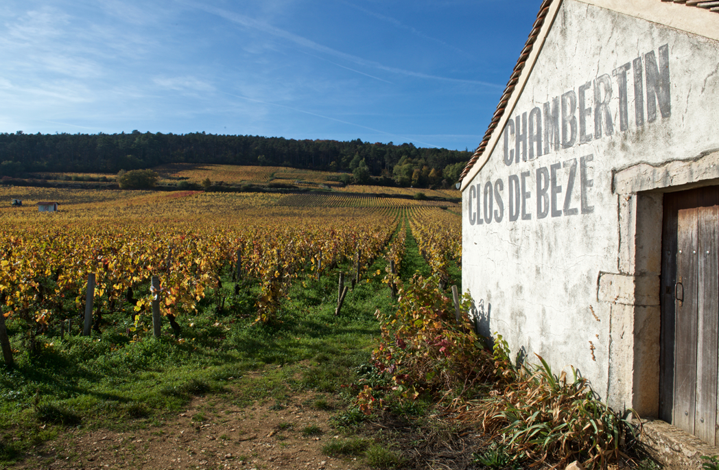 Thumbnail do artigo Gevrey-Chambertin – Clos de Bèze