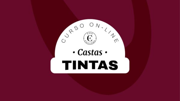 Curso On-line Castas Tintas (Certificado Eno)