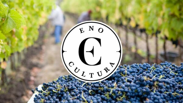 WSET Nível 1-Presencial-Uberlândia-22-Mar-2025