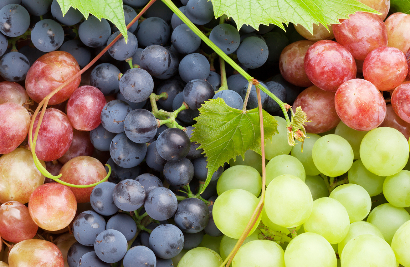 Thumbnail do artigo O que determina a cor do vinho?