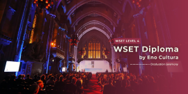 WSET Nível 4 Diploma-D1 Wine Production & amp; D2 Wine Business-23-Set-2025