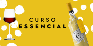 Curso Essencial-Presencial-São Paulo-24-Mai-2025