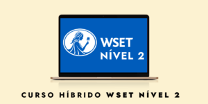 Arte loja WSET2 Hibrido 300x150 - WSET Nível 2-Híbrido-26-fev-2024