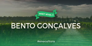 WSET Nível 3-Presencial-Bento Gonçalves-10-ago-2024 Bento Goncalves 1 300x150 - WSET Nível 3-Presencial-Bento Gonçalves-10-ago-2024