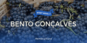 WSET Nível 2-Presencial-Bento Gonçalves-11-mar-2024 Bento Goncalves 300x150 - WSET Nível 2-Presencial-Bento Gonçalves-11-mar-2024