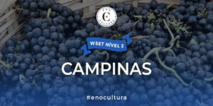 WSET Nível 2-Presencial-Campinas-08-jul-2024 Campinas 1 300x150 - WSET Nível 2-Presencial-Campinas-08-jul-2024