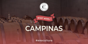 WSET Nível 1-Presencial-Campinas-26-Jul-2025