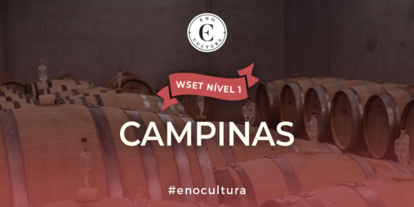 WSET Nível 1-Presencial-Campinas-26-Jul-2025