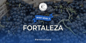 WSET Nível 2-Presencial-Fortaleza-21-out-2024 Fortaleza 300x150 - WSET Nível 2-Presencial-Fortaleza-21-out-2024
