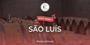WSET Nível 1-Presencial-São Luís-23-Ago-2025