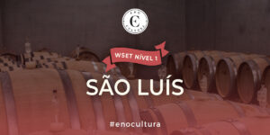 Sao Luis 300x150 - WSET Nível 1-Presencial-São Luís-10-ago-2024