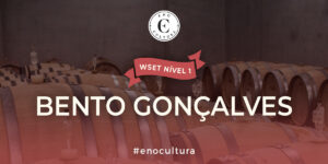 Sao Paulo 1 1 300x150 - WSET Nível 1-Presencial-Bento Gonçalves-17-fev-2024