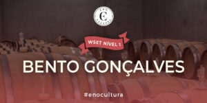 Sao Paulo 1 1 300x150 - WSET Nível 1-Presencial-Bento Gonçalves-25-mai-2024