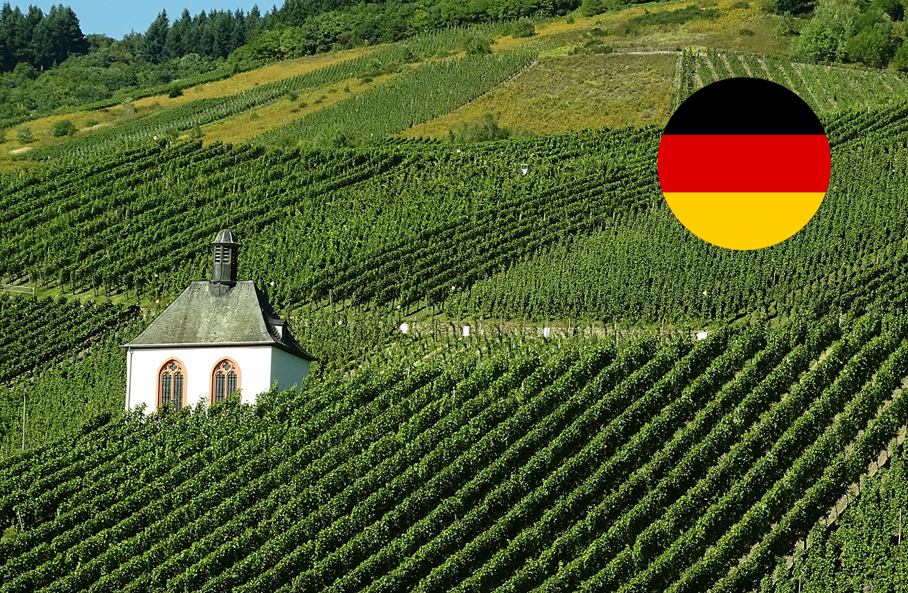 Thumbnail do artigo As variedades mais plantadas na Alemanha