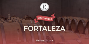 WSET Nível 1-Presencial-Fortaleza-27-Set-2025