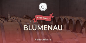 WSET Nível 1-Presencial-Blumenau-07-Jun-2025