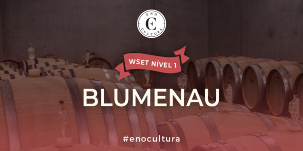 WSET Nível 1-Presencial-Blumenau-07-Jun-2025