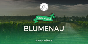 WSET Nível 3-Presencial-Blumenau-19-Nov-2025