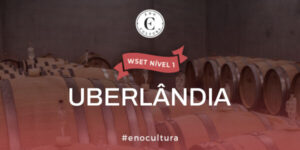 WSET Nível 1-Presencial-Uberlândia-26-Jul-2025