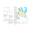 Caderno de Exercícios - Nível Intermediário